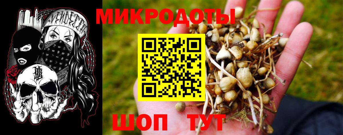 Ишим  Псилоцибиновые грибы Cubensis  Вход с VPN 