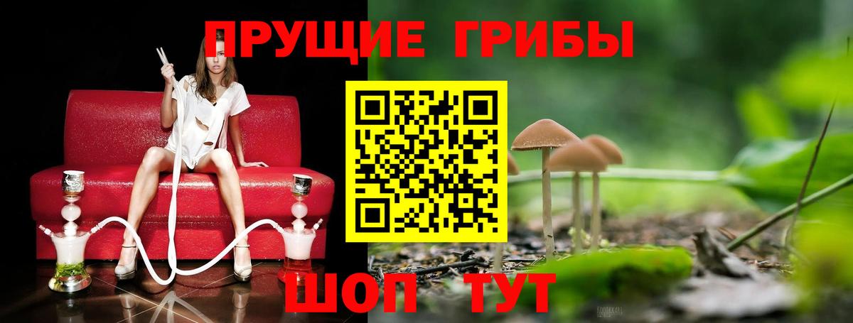 Псилоцибиновые грибы мухоморы Ишим